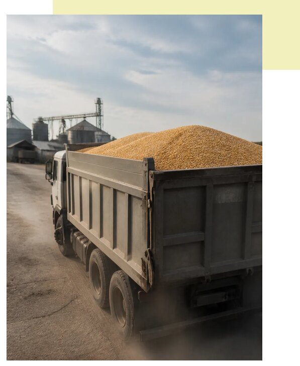 Перевозка сельхозпродукции навалом в Белебей по цене от 3060 р. | Агросервис-Блб